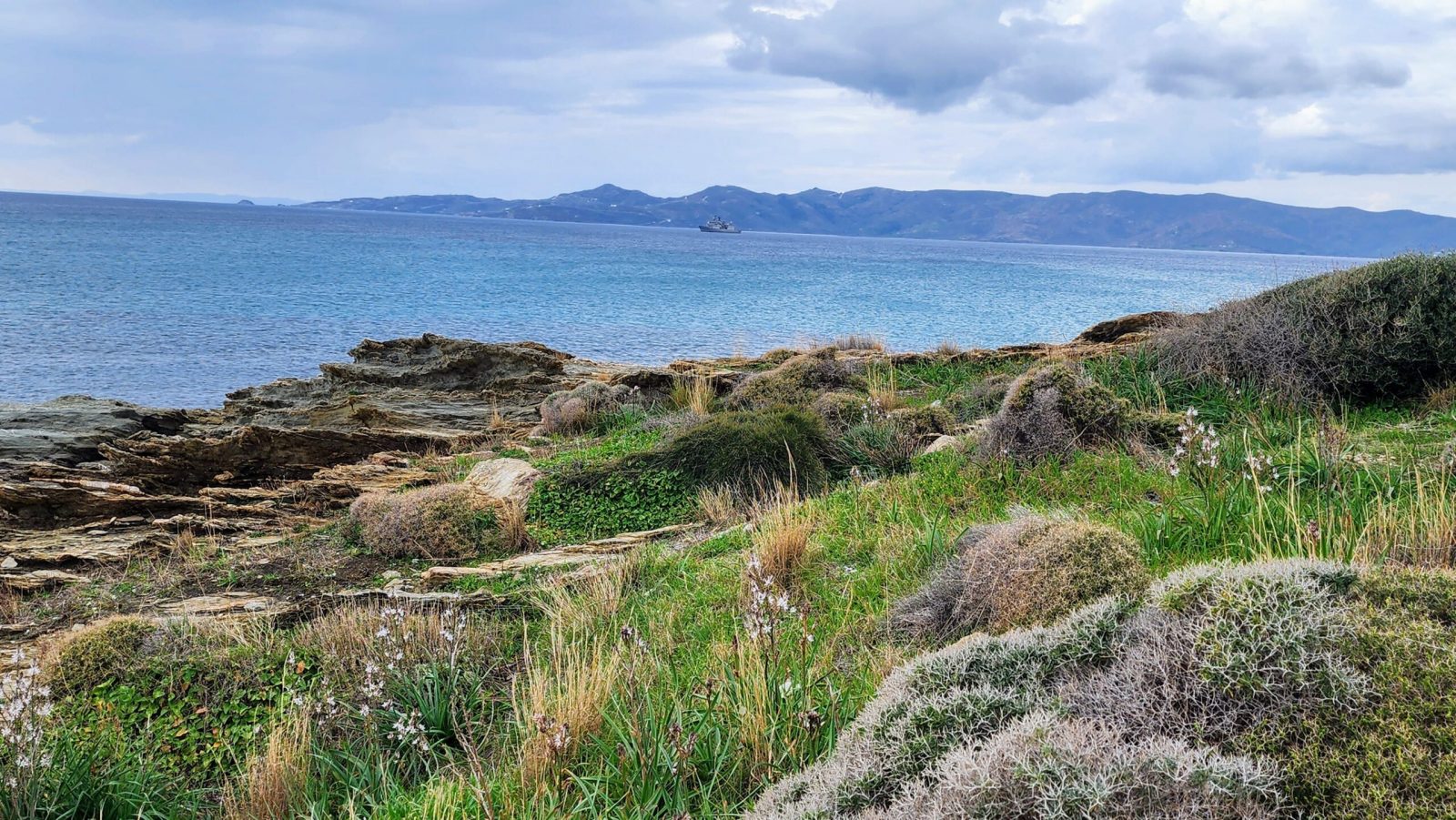 Real estate in Athens