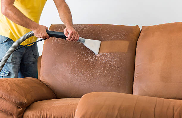 Upholstery cleaning Ashburn